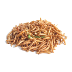 Sušené múčne červy 50g/500g/1000g