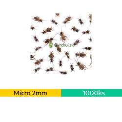 Cvrček domáci (Acheta domestica) - micro (2mm) ~1000ks